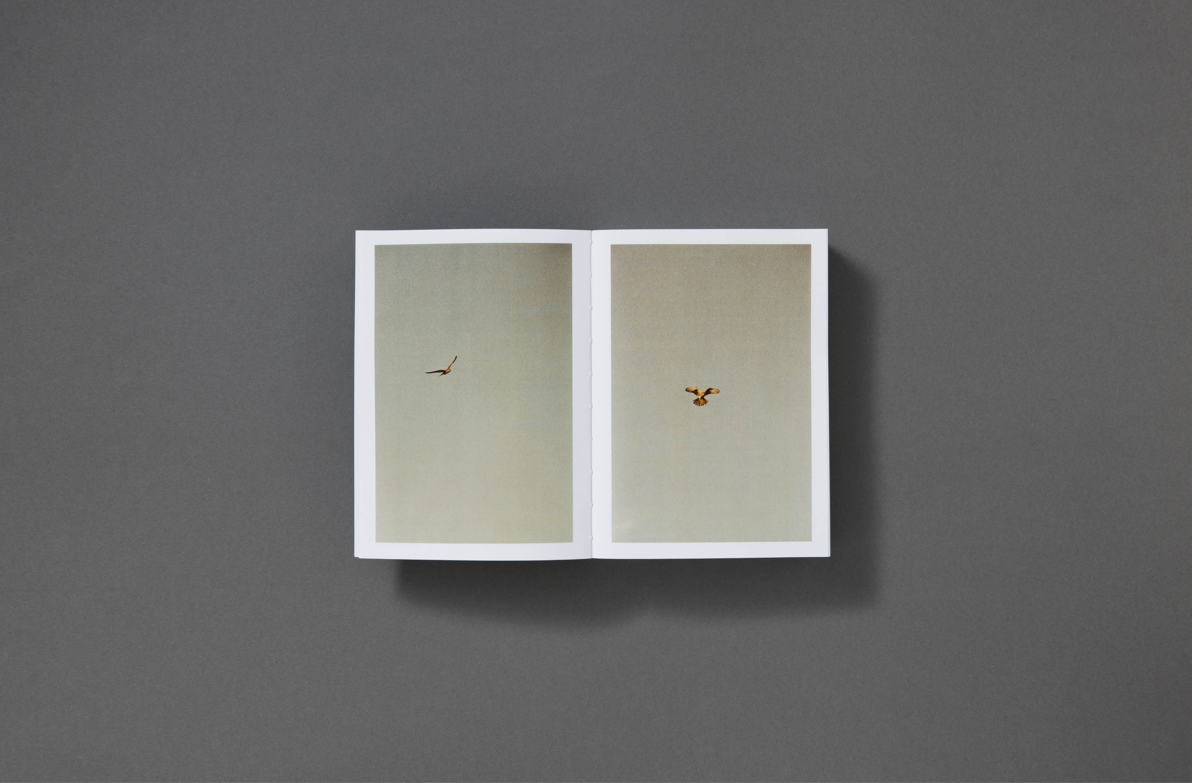 St_Gil_Book_Jonathan_Schmidt Ott_06